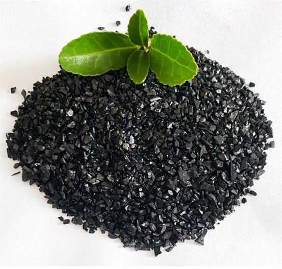 Ajan enpreye aktive kabòn